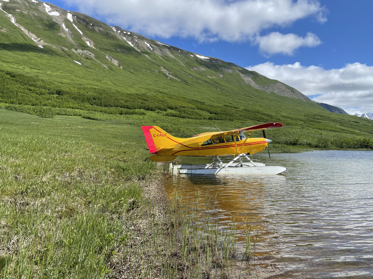 Maule M7 235 C-FAGC