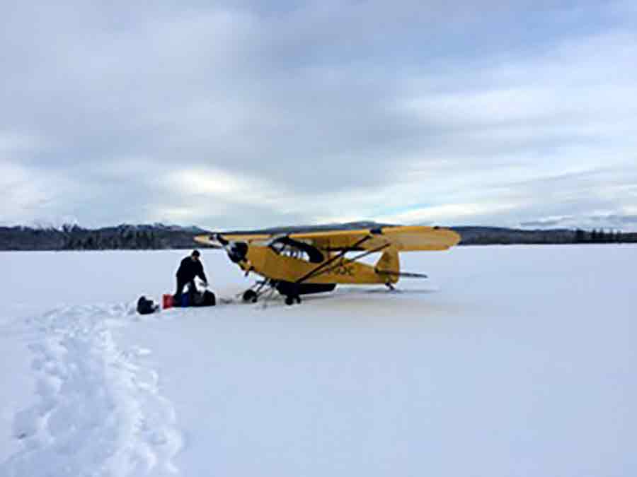 Piper Supercub  - C-GHOC