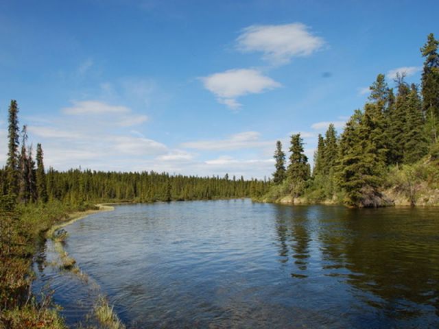 Wolf River 1